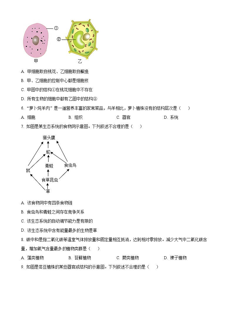 精品解析：新疆維吾爾自治區(qū)新疆生產(chǎn)建設(shè)兵團(tuán)中考生物真題（原卷版）第2頁(yè)