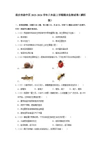 重庆市渝中区2023-2024学年八年级上学期期末生物试卷+