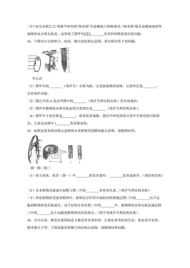 辽宁省沈阳市辽中区2023-2024学年七年级上学期期末生物模拟试题(含答案)第3页