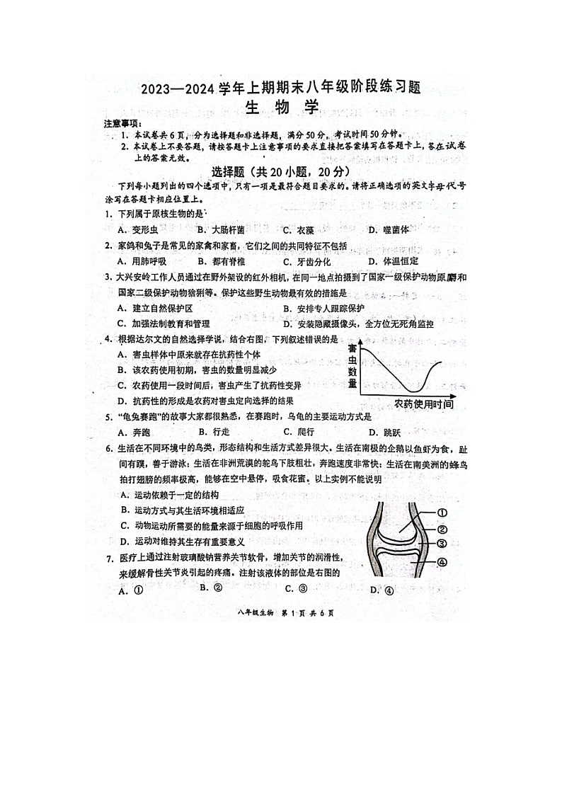 河南省周口市西华县2023-2024学年八年级上学期期末生物试题第1页