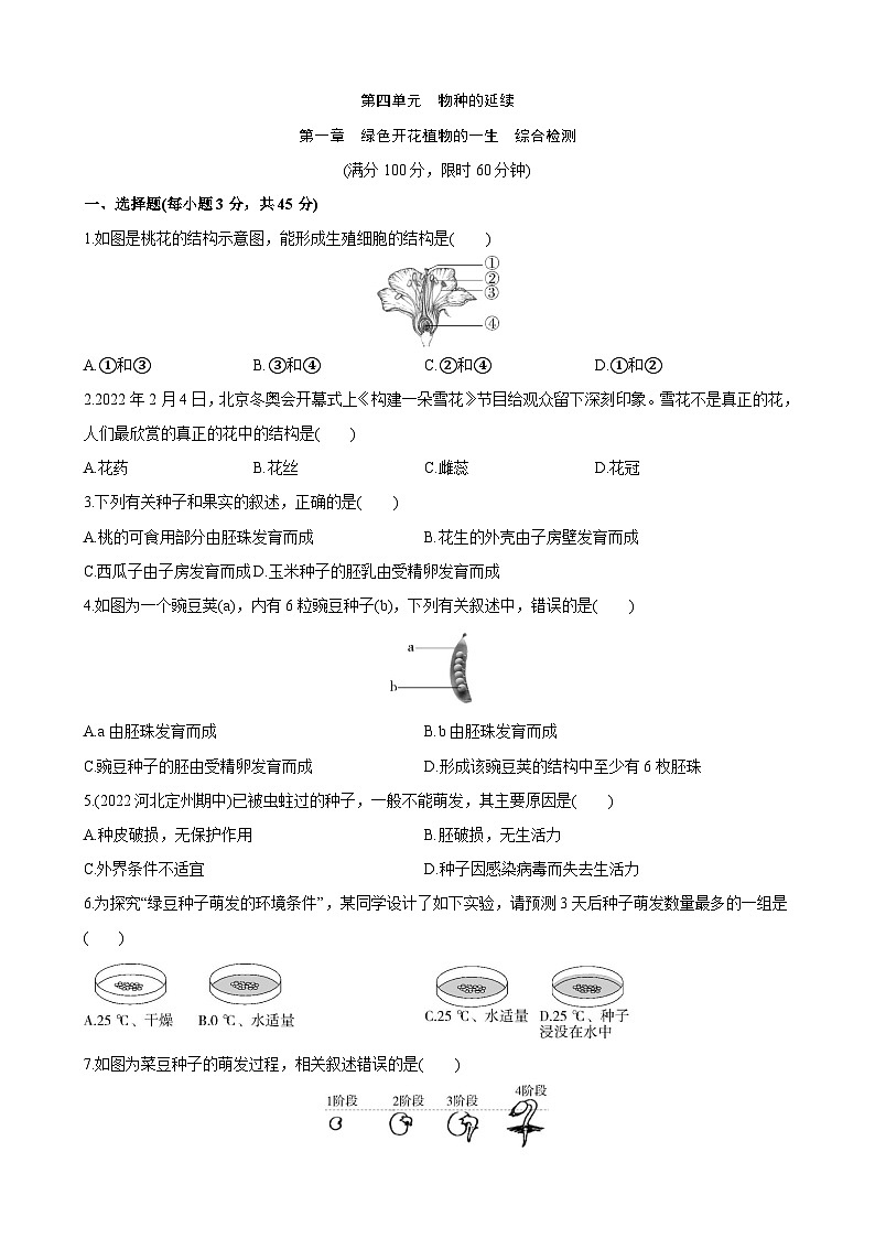 【全套精品專題】濟南版 初中生物復習專題精講 第四單元 第一章 綠色開花植物的一生 綜合檢測第1頁