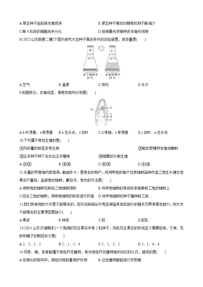 【全套精品專題】濟南版 初中生物復習專題精講 第四單元 第一章 綠色開花植物的一生 綜合檢測第2頁