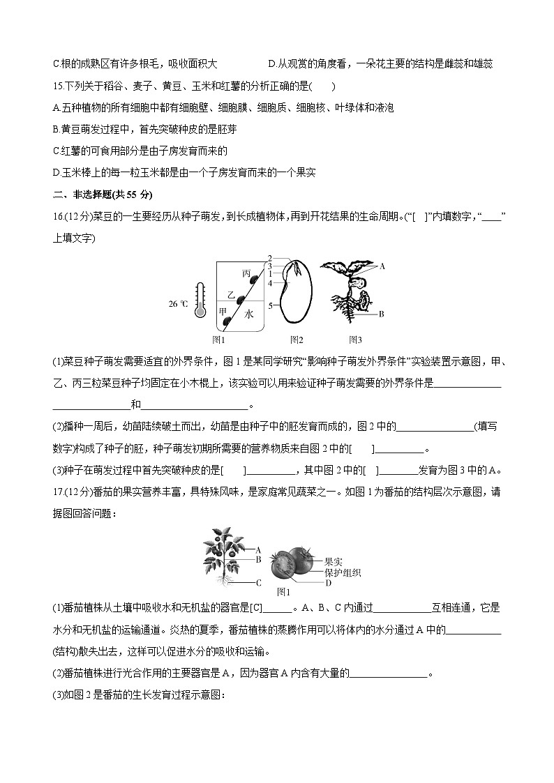 【全套精品專題】濟南版 初中生物復習專題精講 第四單元 第一章 綠色開花植物的一生 綜合檢測第3頁