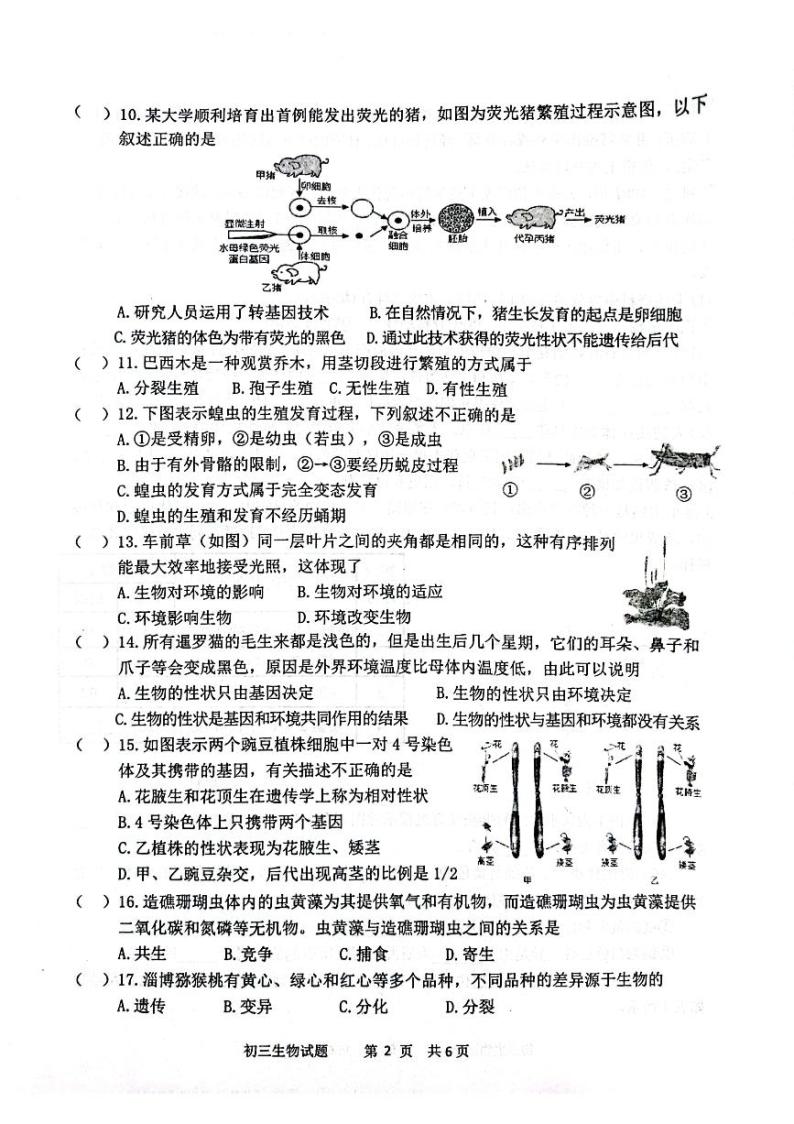 山东省淄博市淄川区2023-2024学年八年级上学期期末生物学试题02