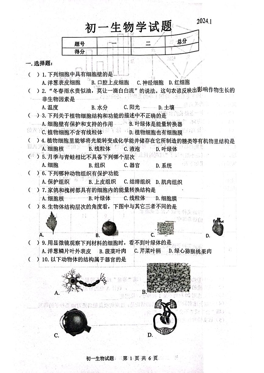 山东省淄博市淄川区2023-2024学年六年级上学期期末生物学试题（无答案）