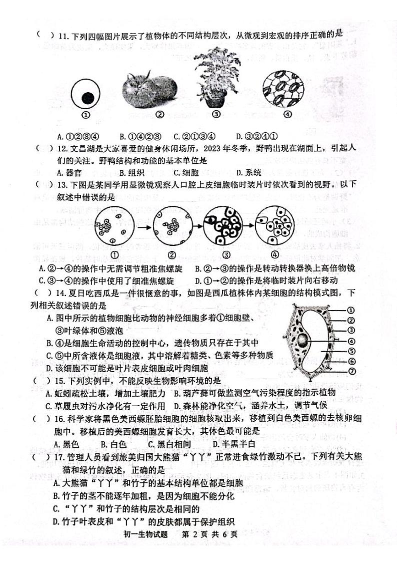 山东省淄博市淄川区2023-2024学年六年级上学期期末生物学试题(无答案)第2页