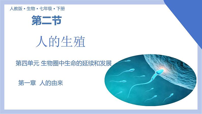 【核心素养】人教版初中生物七年级下册4.1.2《人的生殖》课件+课时练习+教案(含教学反思)01