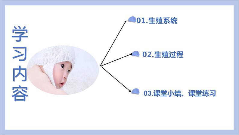 【核心素养】人教版初中生物七年级下册4.1.2《人的生殖》课件+课时练习+教案(含教学反思)03