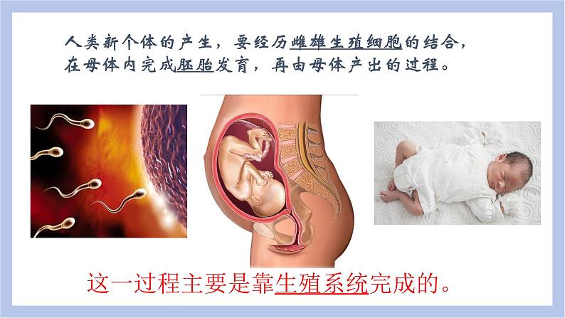 【核心素养】人教版初中生物七年级下册4.1.2《人的生殖》课件+课时练习+教案(含教学反思)07