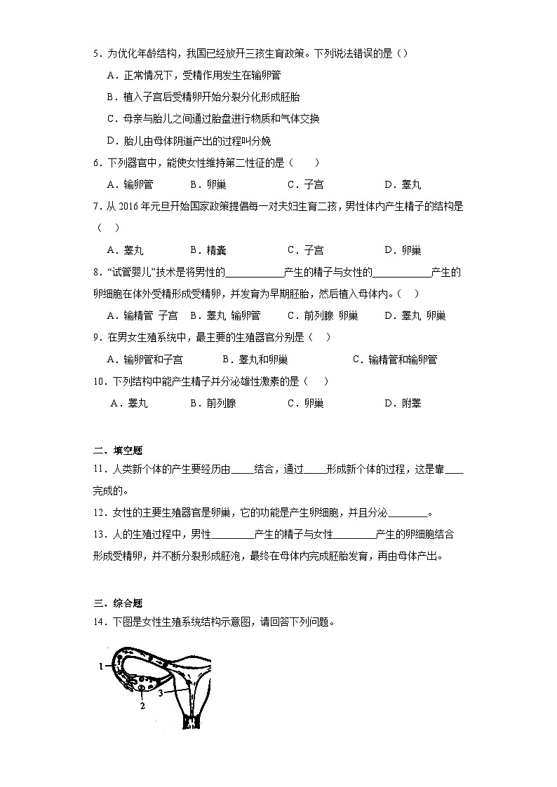 【核心素养】人教版初中生物七年级下册4.1.2《人的生殖》课件+课时练习+教案(含教学反思)02