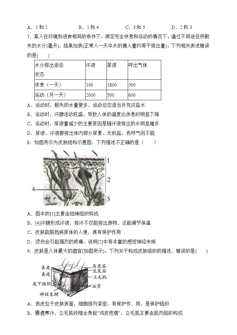 【北师大版】七下生物 4.11.3 皮肤与汗液分泌(课件+学案+练习)02