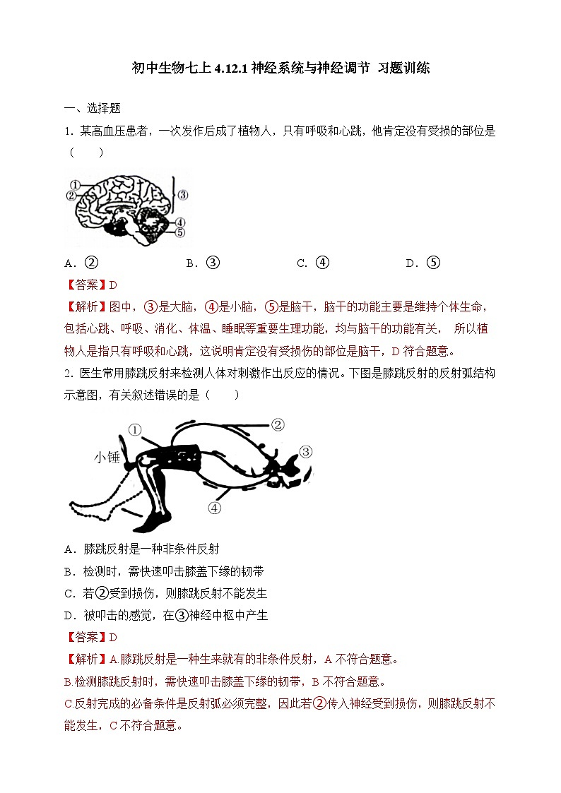 4.12.1 神经系统与神经调节 (解析版)第1页