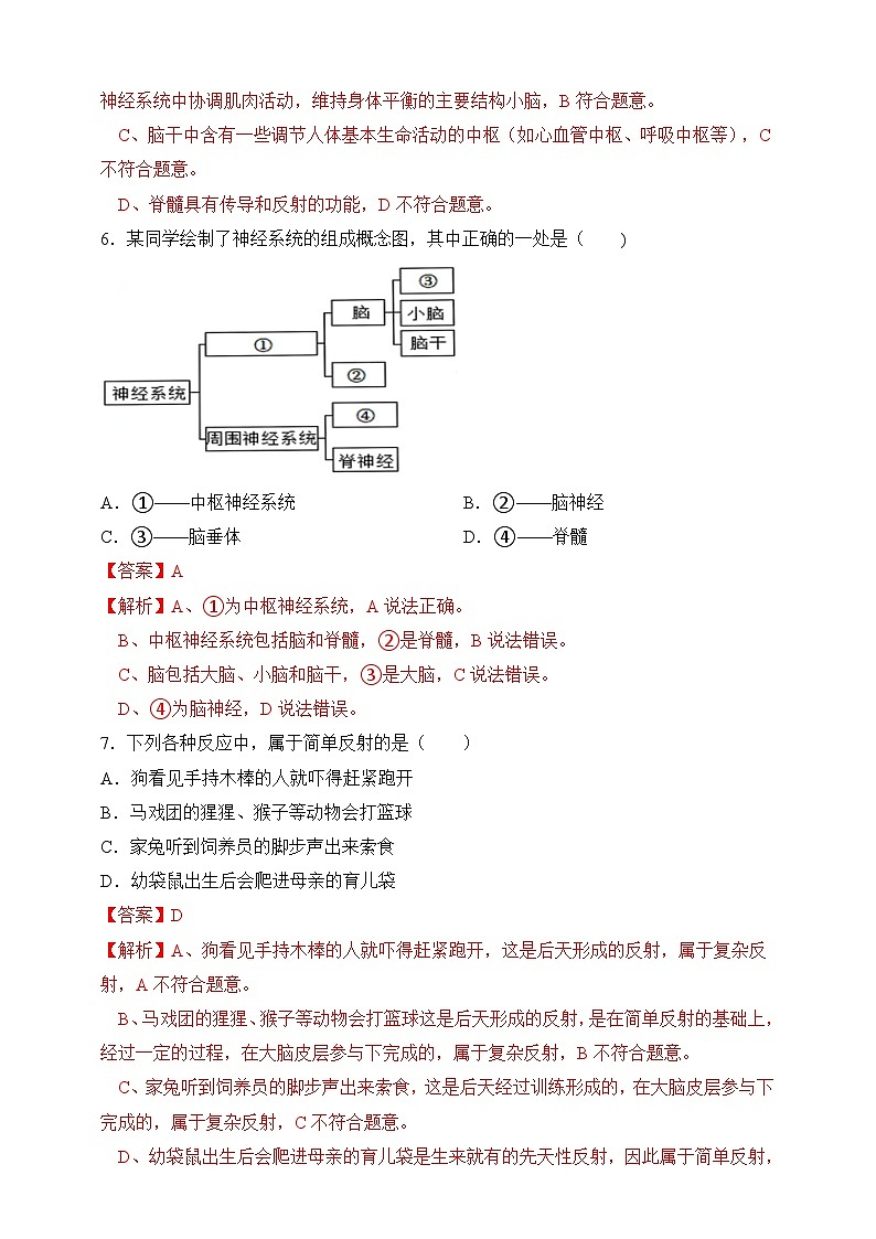 4.12.1 神经系统与神经调节 (解析版)第3页