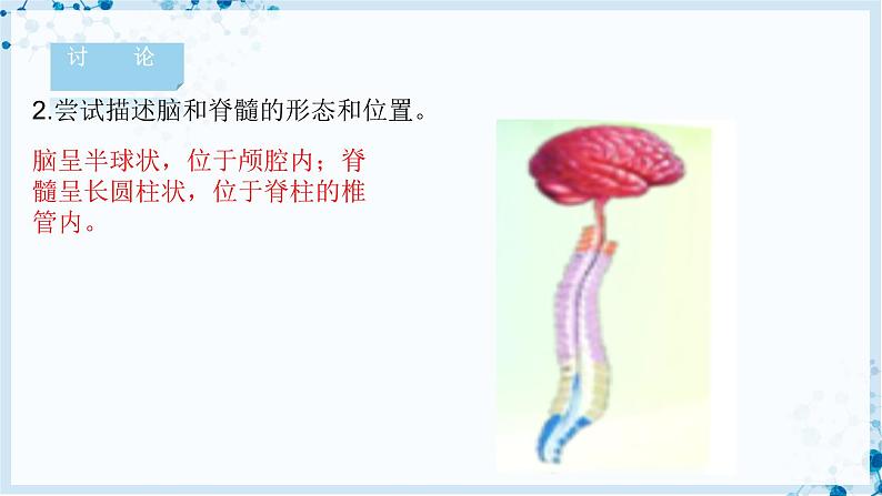 4.12.1 神经系统与神经调节第6页
