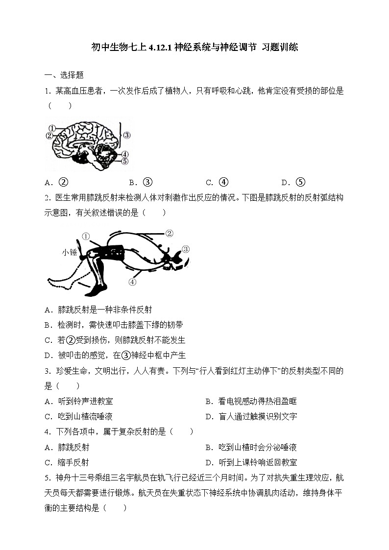 4.12.1 神经系统与神经调节- (原卷版)第1页