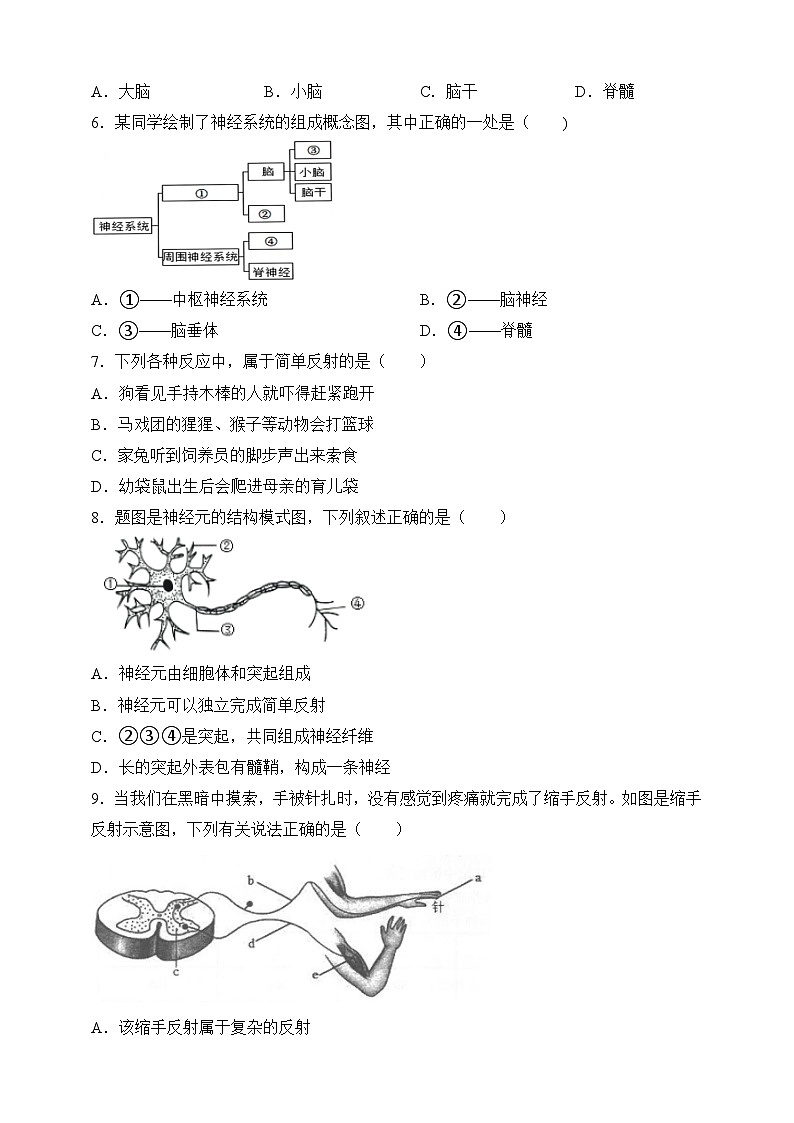 4.12.1 神经系统与神经调节- (原卷版)第2页