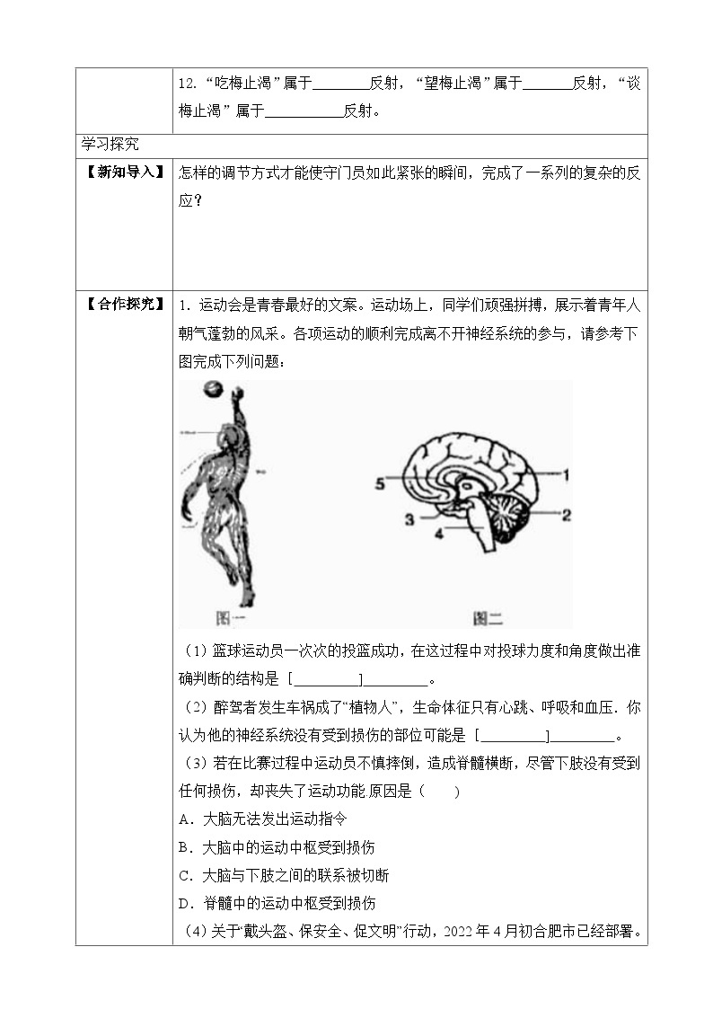 【北师大版】七下生物 4.12.1 神经系统与神经调节（课件+学案+练习）02