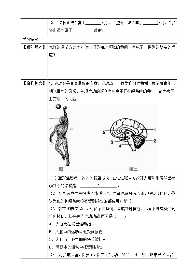 4.12.1 神经系统与神经调节第2页
