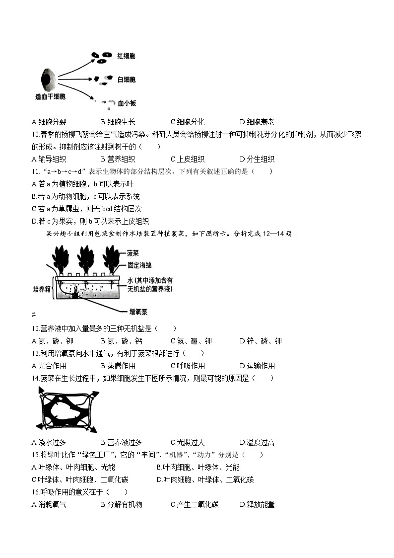 福建省泉州市南安市2023-2024学年七年级上学期期末生物试题02