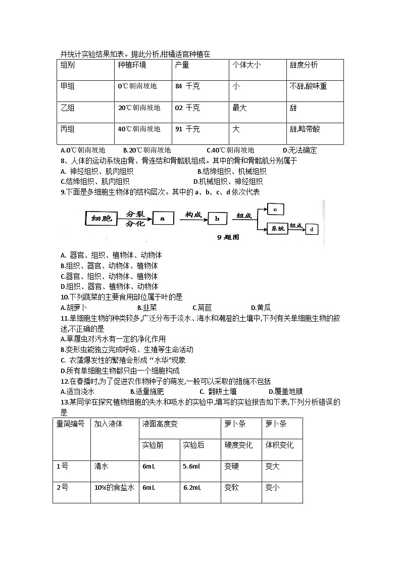 河南省周口市鹿邑县2023-2024学年七年级上学期期末生物试题02
