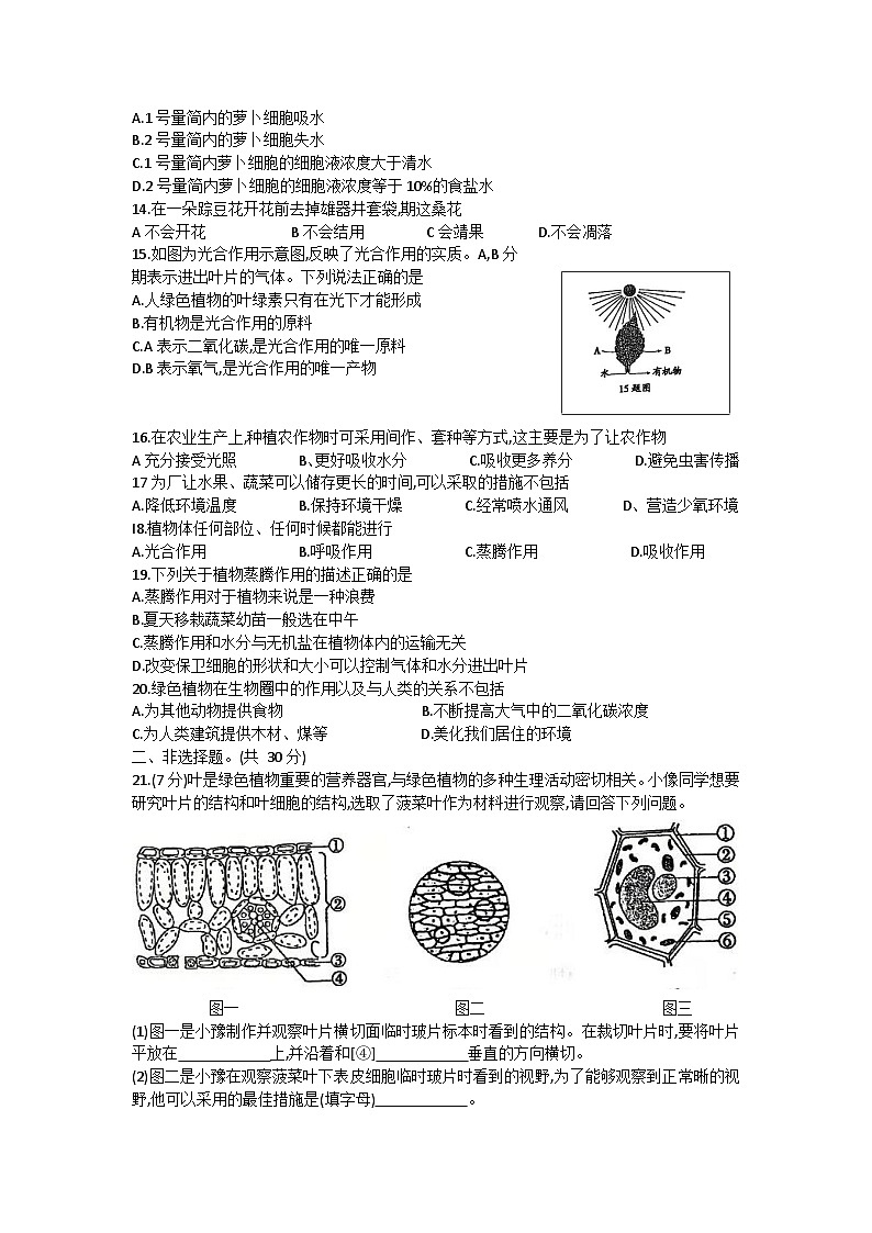 河南省周口市鹿邑县2023-2024学年七年级上学期期末生物试题03