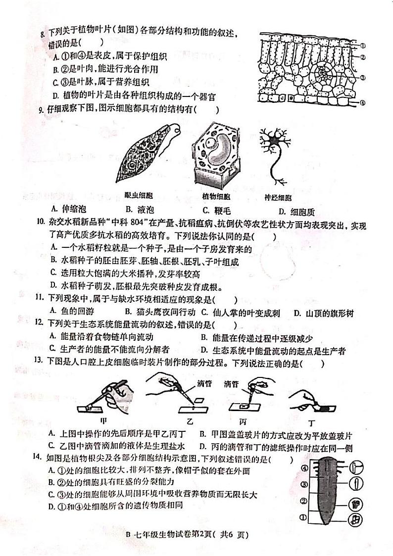 安徽省蚌埠市固镇县2023-2024学年七年级上学期期末考试生物试卷第2页