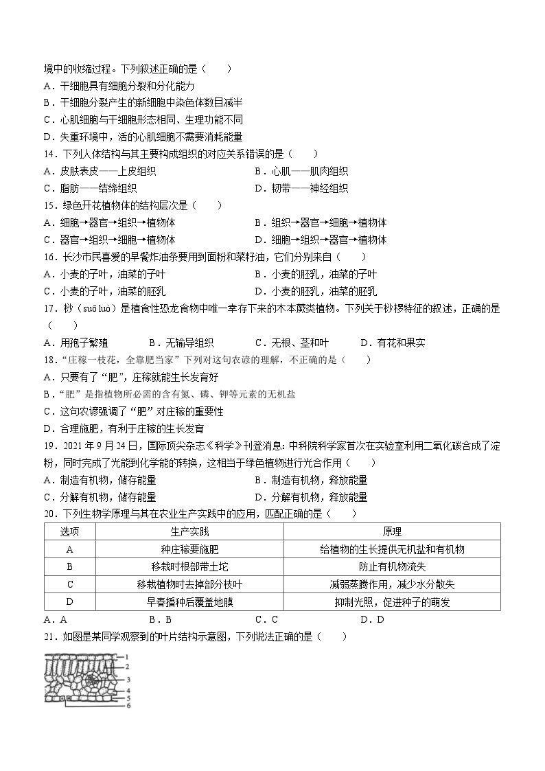 湖南省长沙市长郡教育集团2023-2024学年七年级上学期期末+生物试卷+03