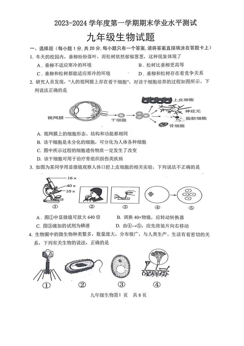 山东省菏泽市巨野县2023-2024学年九年级上学期期末生物试题