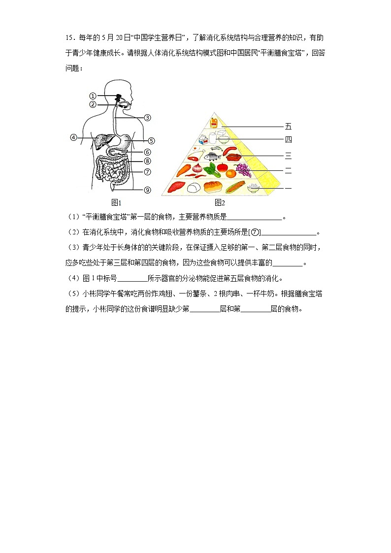 【核心素养】人教版初中生物七年级下册4.2.1《食物中的营养物质》课件+课时练习+教案(含教学反思)03