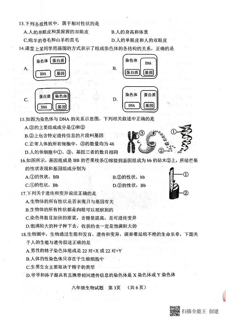 山东省菏泽市东明县2023-2024学年八年级上学期期末生物试题03