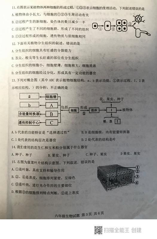 山东省泰安市东平县2023-2024学年六年级上学期期末考试生物学试题03