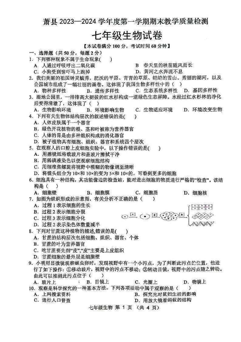 安徽省宿州市萧县2023-2024学年七年级上学期期末生物试题第1页