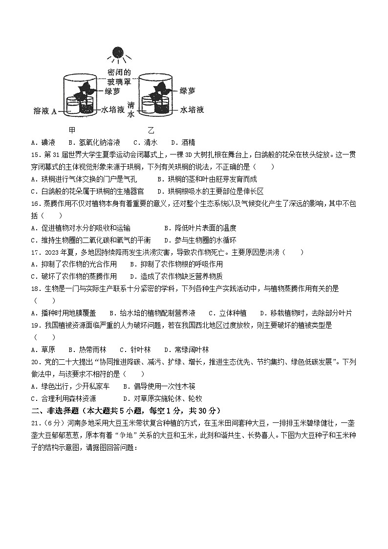 河南省驻马店市第二十二中学2023-2024学年七年级上学期期末学情检测生物试题第3页