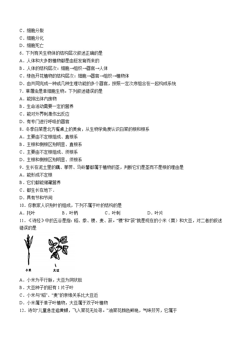河北省石家庄市桥西区2023-2024学年七年级上学期期末生物卷02