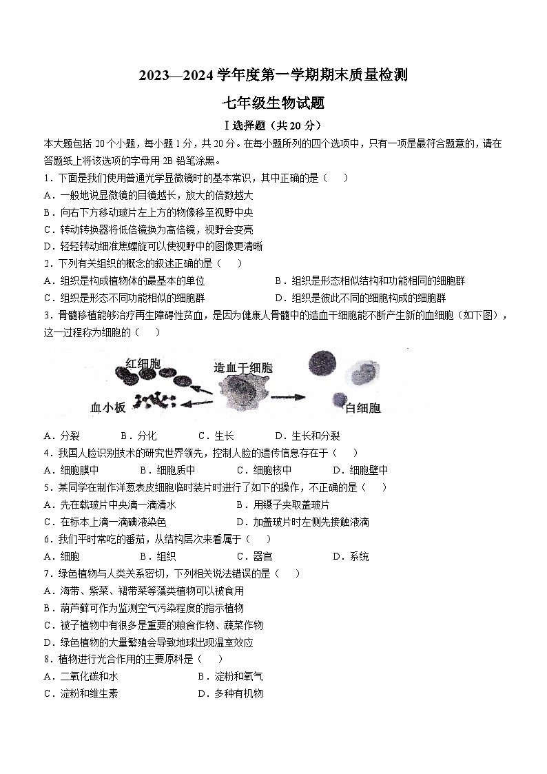 山东省菏泽市鄄城县2023-2024学年七年级上学期期末生物试题01