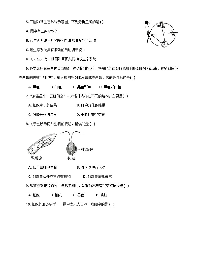 河南省南阳市社旗县2023-2024学年七年级上学期期末生物试题02