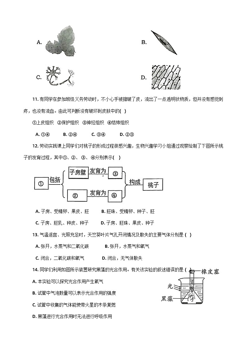 河南省南阳市社旗县2023-2024学年七年级上学期期末生物试题03