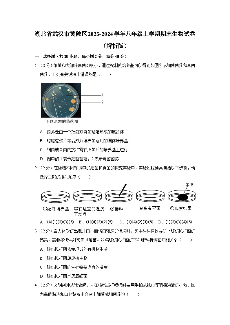 湖北省武汉市黄陂区2023-2024学年八年级上学期期末生物试卷第1页