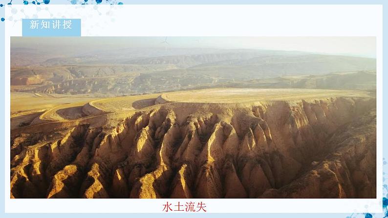 【北师大版】七下生物 4.14.1 人类活动对生物圈的影响(课件+学案+练习)08