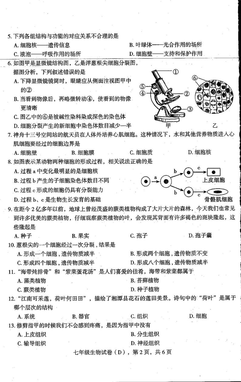 河北省石家庄市新乐市2023-2024学年七年级上学期期末生物试题02