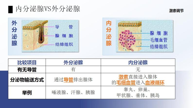 4.6.4《激素调节》课件08