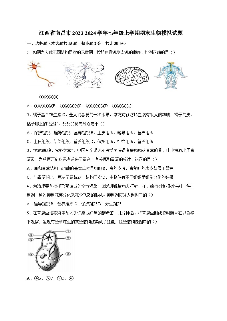 江西省南昌市2023-2024学年七年级上册期末生物模拟试题(附答案)01