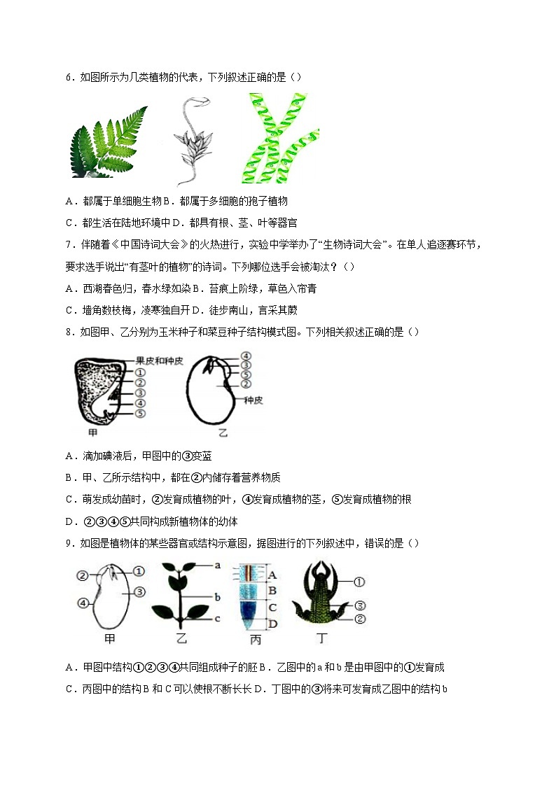 江西省南昌市2023-2024学年七年级上册期末生物模拟试题(附答案)02