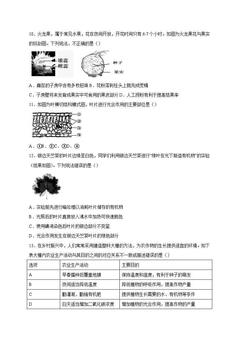江西省南昌市2023-2024学年七年级上册期末生物模拟试题(附答案)03
