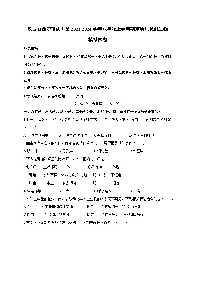 陕西省西安市蓝田县2023-2024学年八年级上册期末质量检测生物模拟试题(附答案)第1页