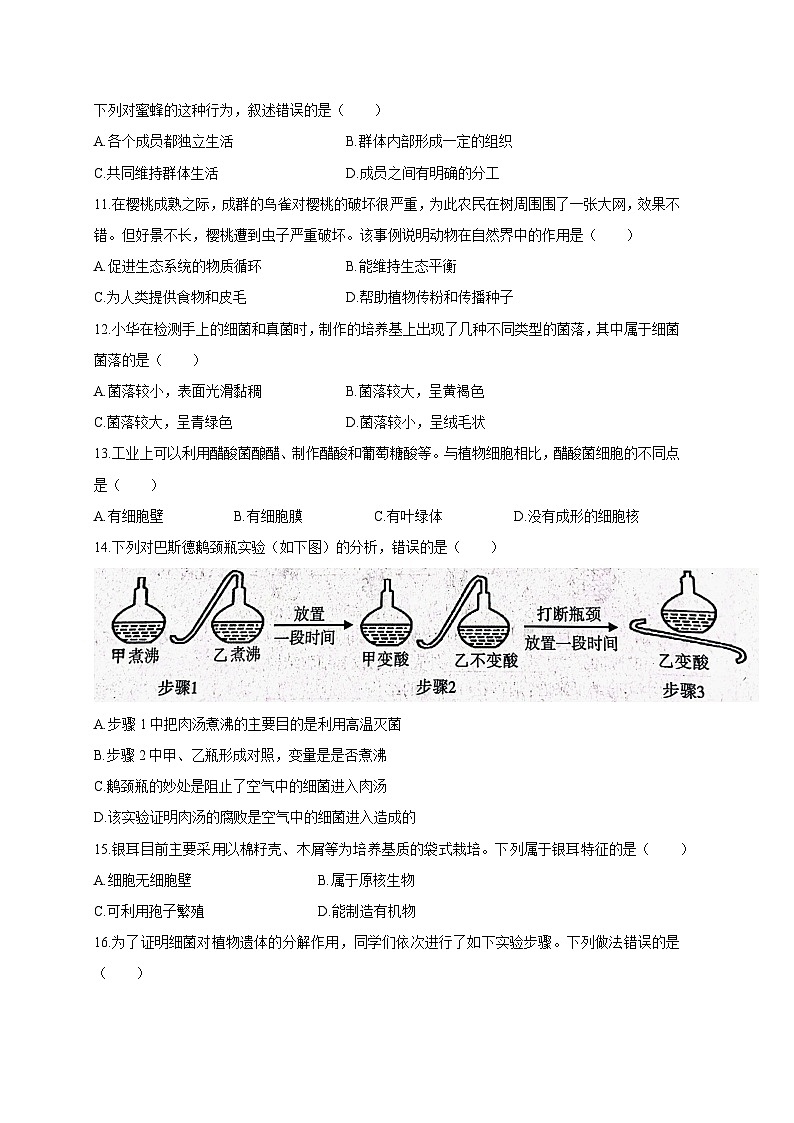 陕西省西安市蓝田县2023-2024学年八年级上册期末质量检测生物模拟试题(附答案)第3页