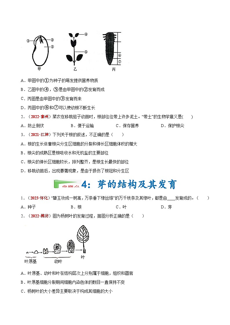 【备战2024中考】一轮复习 初中生物 真题分项汇编 专题03 绿色开花植物的一生(原卷+解析).zip03