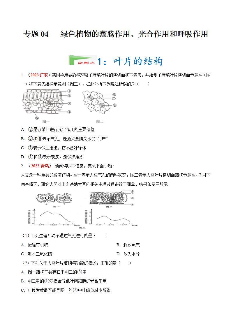 【备战2024中考】一轮复习 初中生物 真题分项汇编 专题04 绿色植物的蒸腾作用、光合作用和呼吸作用（原卷+解析）.zip01