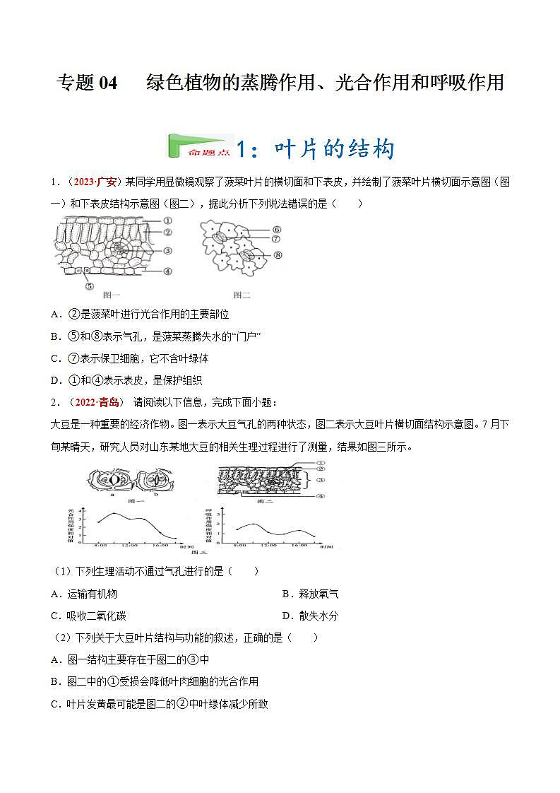 【备战2024中考】一轮复习 初中生物 真题分项汇编 专题04 绿色植物的蒸腾作用、光合作用和呼吸作用(原卷+解析).zip01