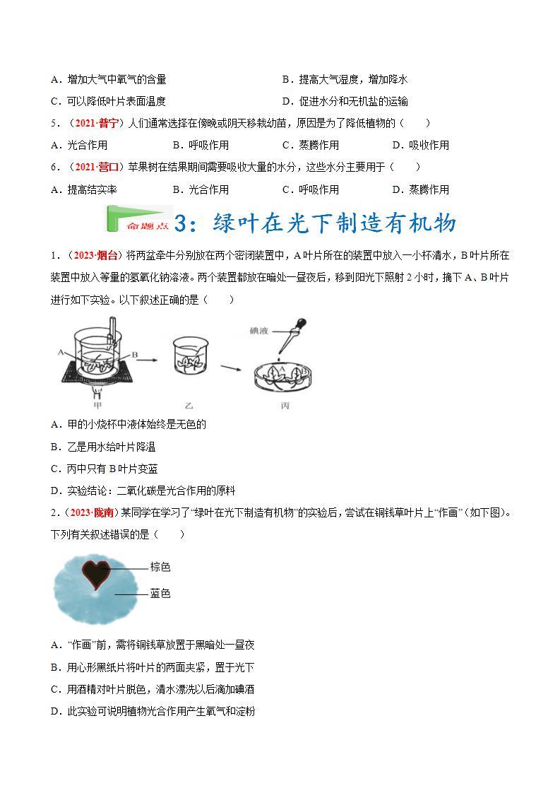 【备战2024中考】一轮复习 初中生物 真题分项汇编 专题04 绿色植物的蒸腾作用、光合作用和呼吸作用（原卷+解析）.zip03